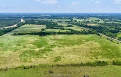 Tbd Morehead Road (+/-113.6 acres), Bremond, TX 76629