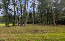 538 Mercantile Road, McClellanville, SC 29458