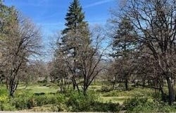 Coopers Hawk Road, Klamath Falls, OR 97601