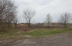 3549 S 3rd Place, Terre Haute, IN 47802