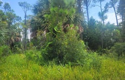 701 E Pine Ave, St. George Island, FL 32328