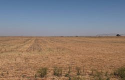 249 Rosevelt Rd, Texico, NM 88135