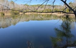 Ashland Road, Ripley, MS 38663