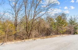 Lots 62 & 63 Eagle Drive, Forsyth, MO 65653