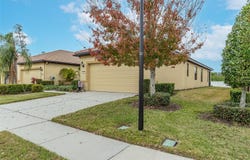 417 BRANDYWINE FALLS COURT, APOLLO BEACH, FL 33572