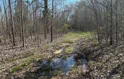 0 Seymore Rd, Nettleton, MS 38858