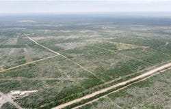 Tbd County Road 173, San Diego, TX 78332