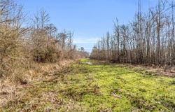 County rd 12, Carrollton, AL 35447