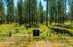 38 CANNON LANE, Blanchard, ID 83804