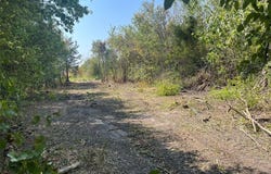 1006 E Denton Street, Ennis, TX 75119