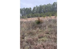 1285 goff Road, Quitman, AR