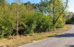 3 Acres Will Barber, Pinola, MS 39149