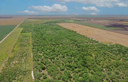 Alice, TX 78332