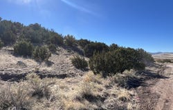 Starlite Drive lot: 14, Eagar, AZ 85925