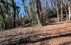 59 Bradley, Blue Ridge, GA 30513