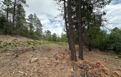 Block 1 Lot 19 Brazos Estates, Chama, NM 87520