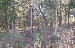 Woodcreek Drive, Murchison, TX 75778