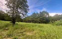771 Red Rock Trail, Pocahontas, AR 72455