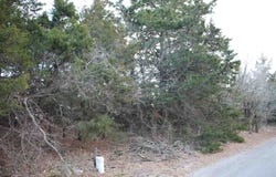 State Highway 34C Lot 1, Woodward, OK 73801