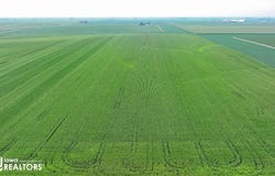 28378 S Wells, Conrad, IA 50621