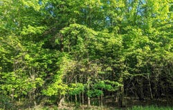S Badger Lane, Arkdale, WI 54613