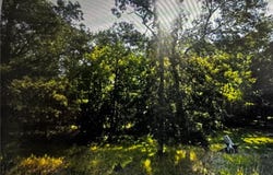 340 State 84 SW, Barclay Twp, MN 56474