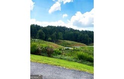Big Valley Drive, Blue Ridge, GA 30513