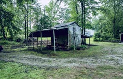 1790 Mt View Road, Wellington, AL 36279