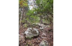 Ward Cove, Greenbrier, AR 72058