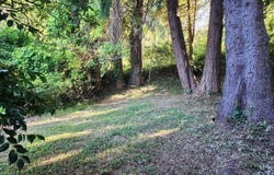 254 NE 3rd Street, Toledo, OR 97391