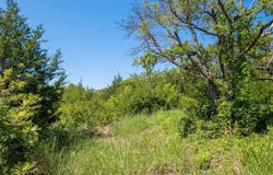 30 County Road 4515, Trenton, TX 75490