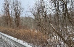Route 9w, Highland, NY 12528