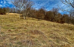 Tbd Windy Drive, Marion, VA 24354