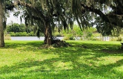 21070 Captain Nelson Court, Alva, FL 33920