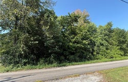 Connie Street, Steubenville, OH 43952