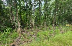 1 Freedom Road, Branchville, SC 29432