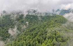 0 Hall Branch Road, Topmost, KY 41862