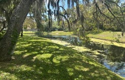 61 Horseshoe Falls Dr., Ormond Beach, FL 32174