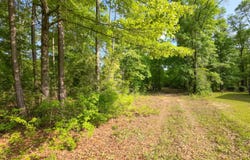 Tbd Nearing Hills Circle, Chipley, FL 32428