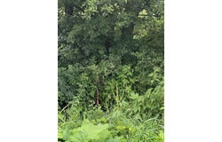 11555 78th Avenue, Allendale, MI 49401