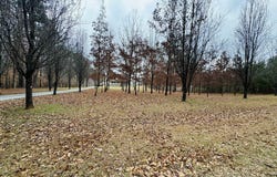 485 HUNTER ROAD, RANDOLPH, AL 36792