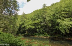 486 MCINTYRE WAY, Cogan Station, PA 17728