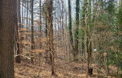 4712  Monaco Dr, Sandston, VA 23150