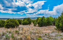 2.38 Acres Old Colonias, Pecos, NM 87552