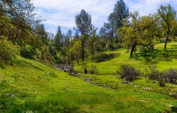 3729 Ben Hur Road, Mariposa, CA 95338