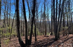 Taylorsville Road unit: Tract 3, Taylorsville, NC 28681