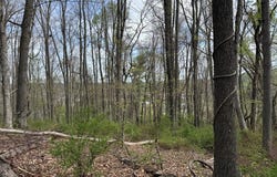 Holly St, Galax, VA 24333