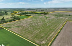 Boston Chapel Rd., Waggoner, IL 62572