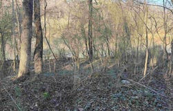 001 SCOTT ROAD lot: 0, CORDOVA, AL 35550