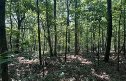 0 Bear Mountain Road, Ranger, GA 30734